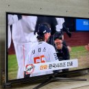 절약 실패(제정신유지 성공)한 사람, 접니다만 - 10월 나머지 모음zip