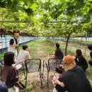 정규농장 이미지