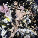 청담곱떡 이미지