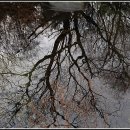 도봉구보건소 이미지