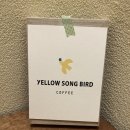 옐로우송버드 이미지