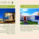가요여행사 이미지
