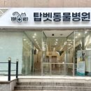 탑벳 동물병원 이미지