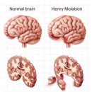 해마수학 이미지