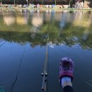 옥포낚시터 이미지