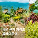 세부 현지가이드 프라이빗 투어 업체 예약 가격 후기