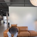 다우닝 - 해운대구 센텀남대로 59 | 다우닝 소파 신혼가구 추천 더 다우닝 강서점 쇼룸 방문 후기