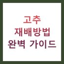 상록팜 | 고추 재배방법 완벽 가이드 TOP 10 총정리 (노지재배, 시설재배, 수경재배)