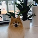 리타임뷰티 풍무점