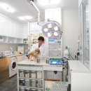 어울림동물병원 이미지