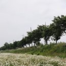 운산천 이미지
