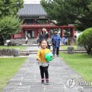 [다시! 제주문화] (46) &#34;하마터면 영영 사라질 뻔&#34;…제주목관아 복원 20년 이미지