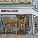 투토빌딩 이미지