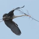 함양박물관 전시실 이미지