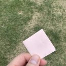 춘이네 멍치원 이미지