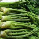 원희 농장 이미지