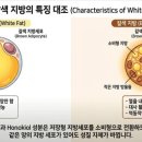 용담한의원 | [오산 한의원 다이어트] 라인 약침이 뭔가요? 한약이랑 다른 점