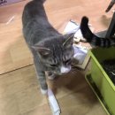 신동물메디컬센터 이미지