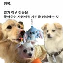 행복,영하20도, 새벽6시, 낭만풀충전