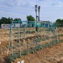 명예농장 이미지