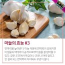 마능 이미지