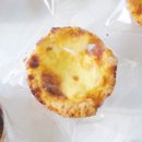 사르봄 매일키토