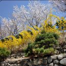 호텔한밤 이미지