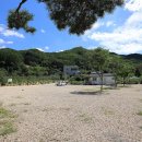 물한계곡 소나무펜션 이미지