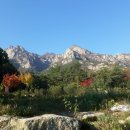 내장산 단풍생태공원 이미지