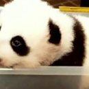 수정-136 이미지