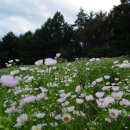 힐링팬션 이미지