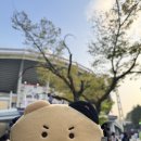 912 | 부산 사직야구장 외야탁자석 912블럭 시야 및 직관 후기