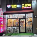 개밥파는고양이라베니체점