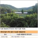 인천개발