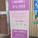 송림테마거리 | 서천 장항군 브라운핸즈 송림동화 아트페스타 후기