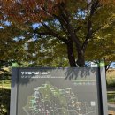 한양카밧데리 | 한양도성 종로둘레길 산책코스, 흥인지문에서 남산까지! 한양도성길 가을 산책 역사 탐방 데이트 코스...