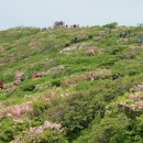 한국의 산하 추천 -- 철쭉산행 8선 이미지