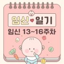 [임신일기]13~16주차, 드이자르 산후조리원 계약 후기&amp;드디어 성별 나오다?