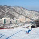 비발디파크사우나 이미지