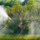 중리한의원 이미지