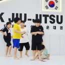키즈 MMA 주짓수 태권도 이미지