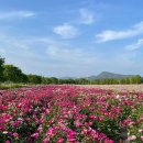 사계 영농조합법인 이미지