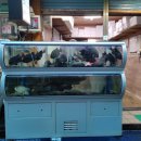 감전시장 이미지