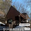 청춘-숲속의 섬, | [공지] 춘천 • 집다리골 자연휴양림 • 숲속의집 숙소 후기
