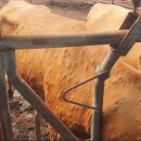 강원한우농장 이미지