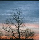 공주문예회관대공연장 이미지