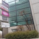 엠넷미디어(주) | 예복:) 헤리츠테일러 방문했어요^^