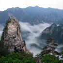 이번출구 이미지