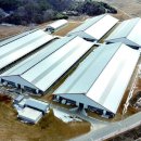 모아축산 이미지