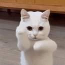 목화식육식당 이미지